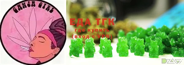 ECSTASY Алзамай
