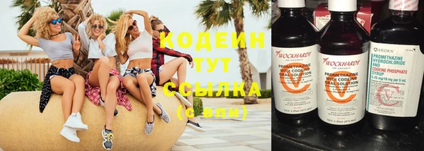 ECSTASY Алзамай