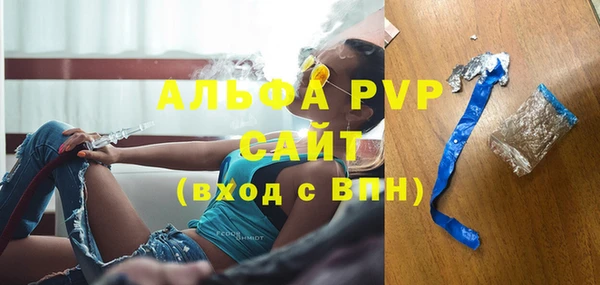 ECSTASY Алзамай